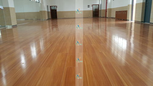 立美建材 为舞蹈室度身定制专业木地板与塑胶地板解决方案